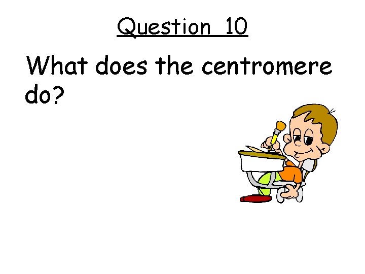 Question 10 What does the centromere do? 