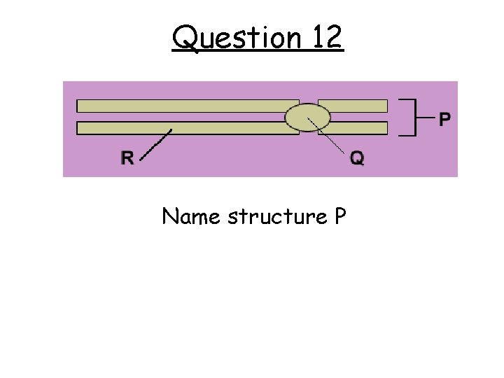 Question 12 Name structure P 