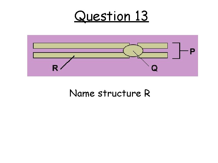 Question 13 Name structure R 