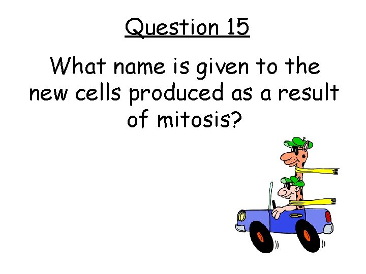 Question 15 What name is given to the new cells produced as a result