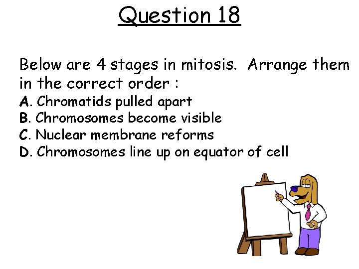 Question 18 Below are 4 stages in mitosis. Arrange them in the correct order