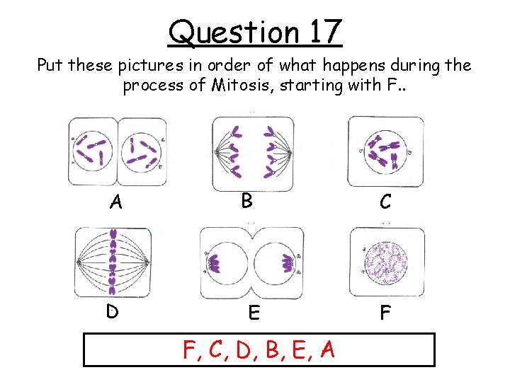 Question 17 Put these pictures in order of what happens during the process of