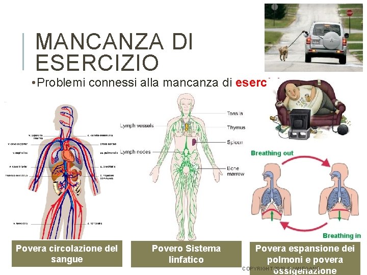 MANCANZA DI ESERCIZIO • Problemi connessi alla mancanza di esercizio: Povera circolazione del sangue