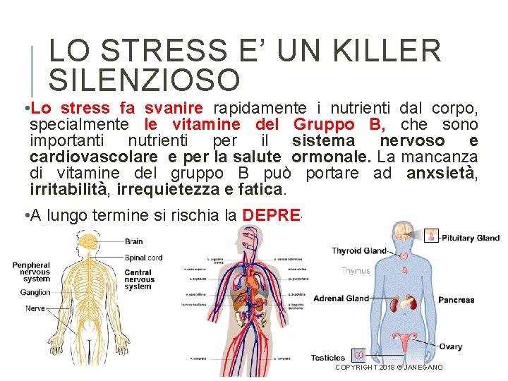 LO STRESS E’ UN KILLER SILENZIOSO • Lo stress fa svanire rapidamente i nutrienti
