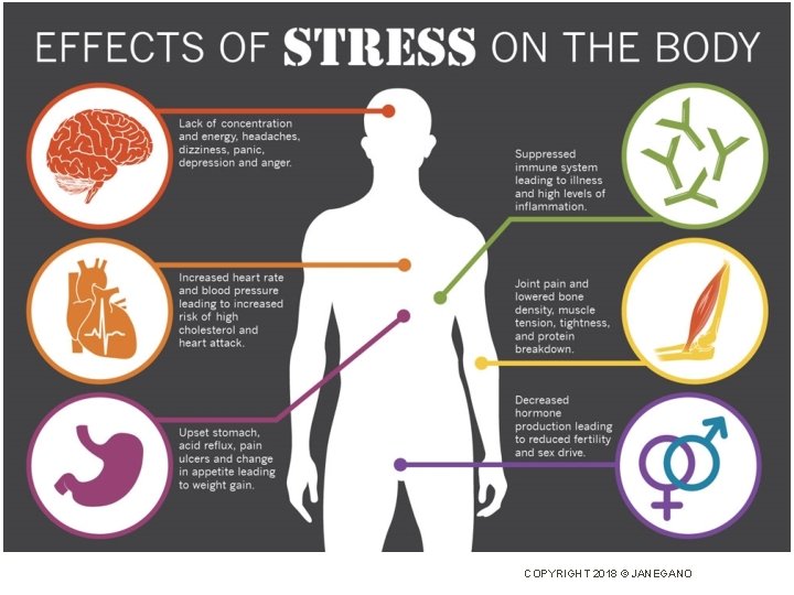 EFFECTS OF STRESS TO THE BODY COPYRIGHT 2018 © JANEGANO 
