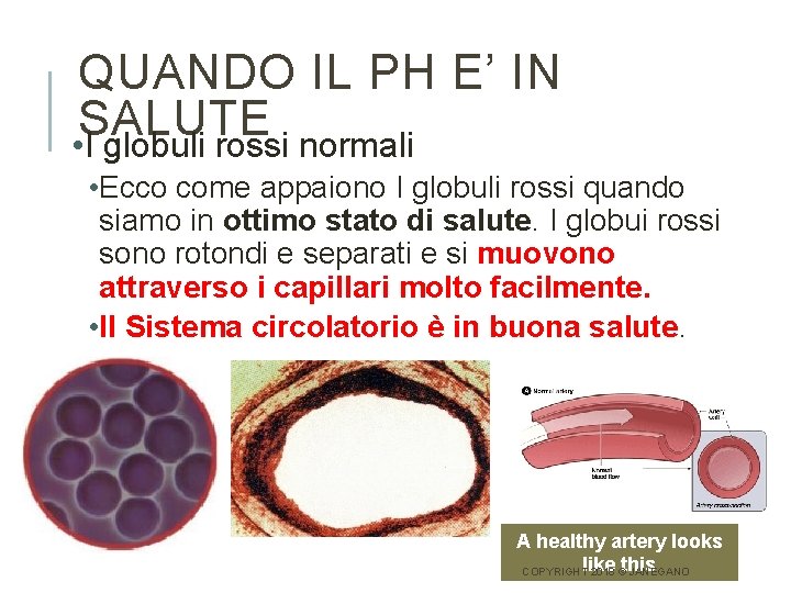 QUANDO IL PH E’ IN SALUTE • I globuli rossi normali • Ecco come