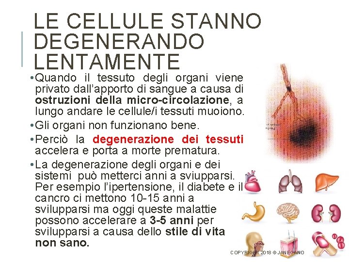 LE CELLULE STANNO DEGENERANDO LENTAMENTE • Quando il tessuto degli organi viene privato dall’apporto