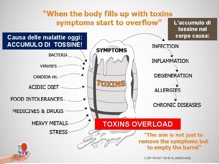TOXINS OVERLOAD Causa delle malattie oggi: ACCUMULO DI TOSSINE! L’accumulo di tossine nel corpo