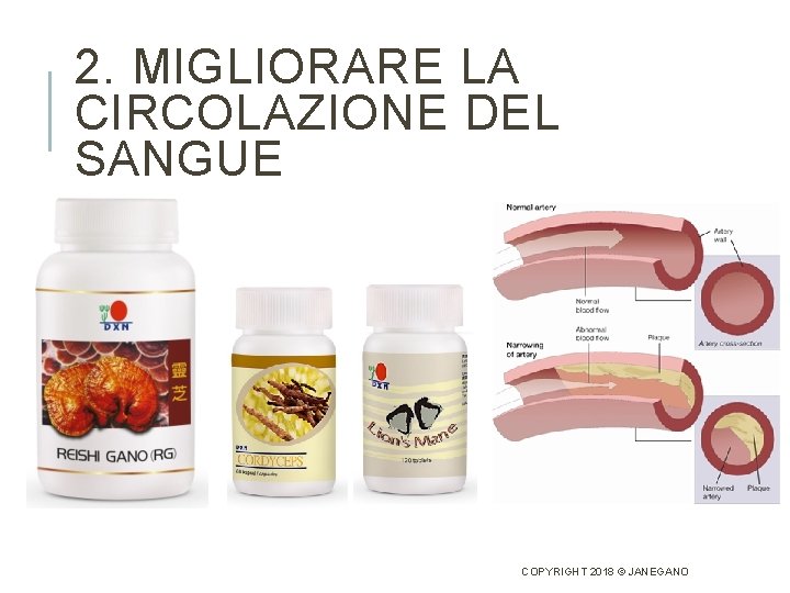 2. MIGLIORARE LA CIRCOLAZIONE DEL SANGUE COPYRIGHT 2018 © JANEGANO 