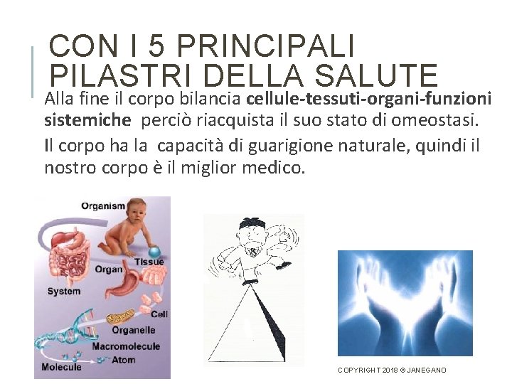 CON I 5 PRINCIPALI PILASTRI DELLA SALUTE Alla fine il corpo bilancia cellule-tessuti-organi-funzioni sistemiche