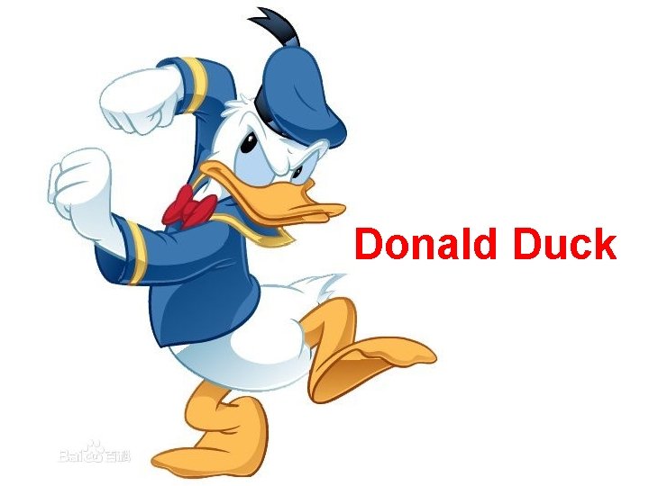 Donald Duck 