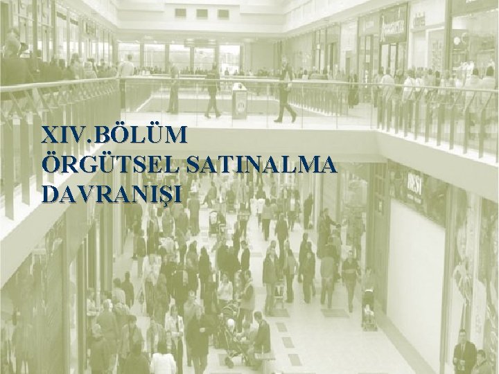 XIV. BÖLÜM ÖRGÜTSEL SATINALMA DAVRANIŞI 