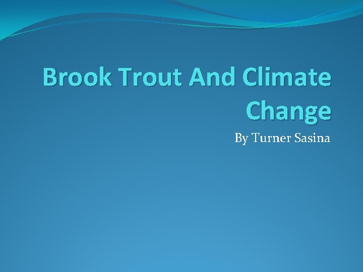 Brook Trout And Climate Change By Turner Sasina 