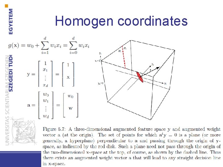 Homogen coordinates 