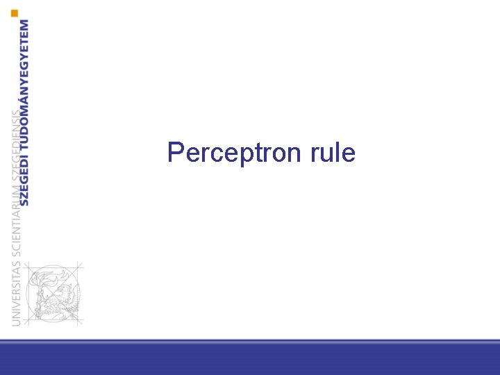 Perceptron rule 