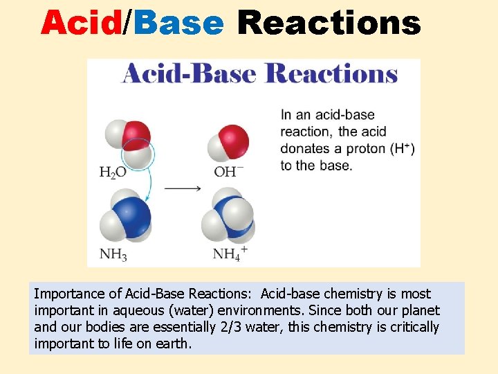 Acid/Base Reactions Importance of Acid-Base Reactions: Acid-base chemistry is most important in aqueous (water)