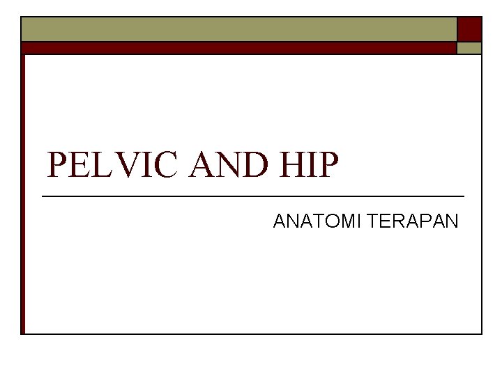 PELVIC AND HIP ANATOMI TERAPAN 