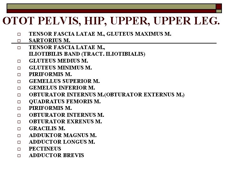 OTOT PELVIS, HIP, UPPER LEG. o o o o o TENSOR FASCIA LATAE M.