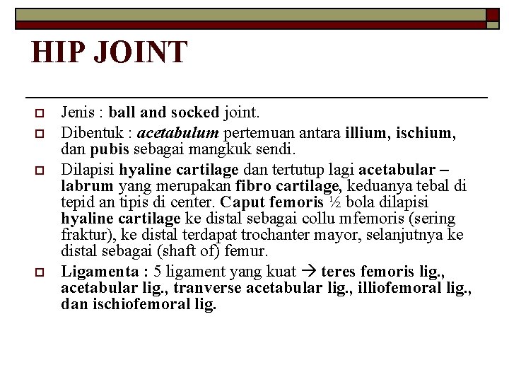 HIP JOINT o o Jenis : ball and socked joint. Dibentuk : acetabulum pertemuan