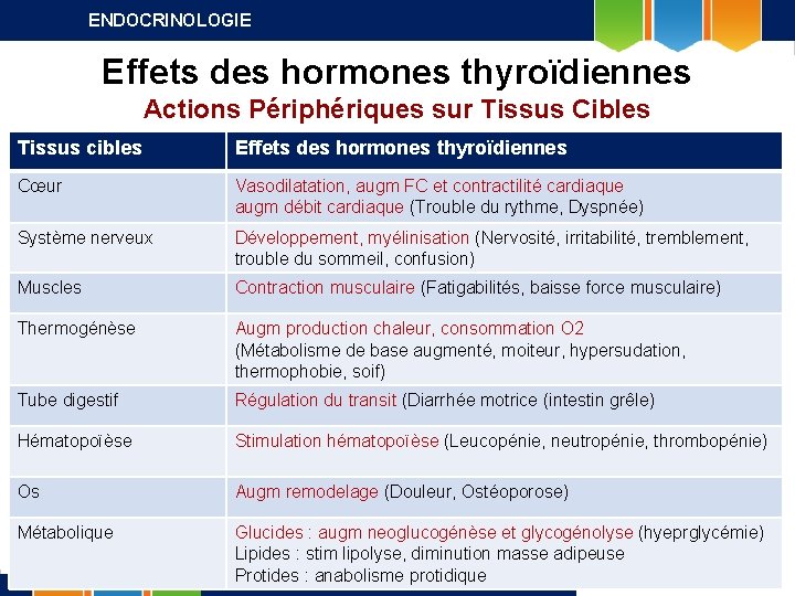 ENDOCRINOLOGIE Effets des hormones thyroïdiennes Actions Périphériques sur Tissus Cibles Tissus cibles Effets des