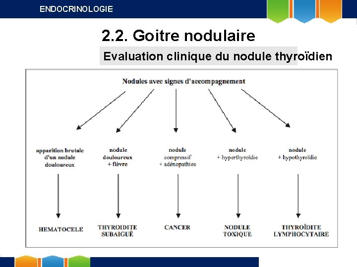 ENDOCRINOLOGIE 2. 2. Goitre nodulaire Evaluation clinique du nodule thyroïdien 