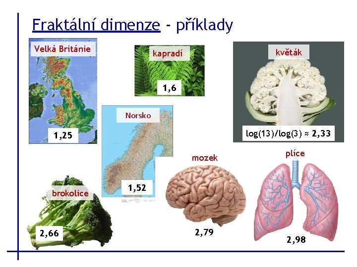 Fraktální dimenze - příklady Velká Británie květák kapradí 1, 6 Norsko log(13)/log(3) ≈ 2,