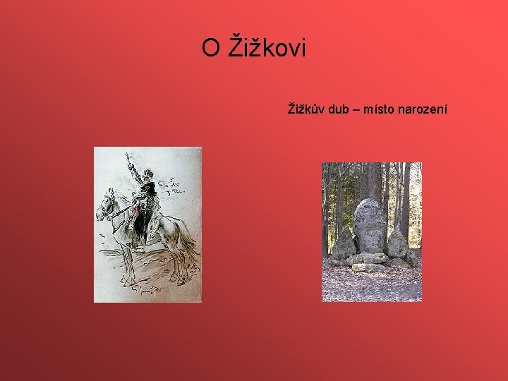 O Žižkovi Žižkův dub – místo narození 