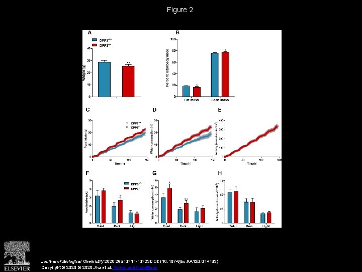 Figure 2 Journal of Biological Chemistry 2020 29513711 -13723 DOI: (10. 1074/jbc. RA 120.