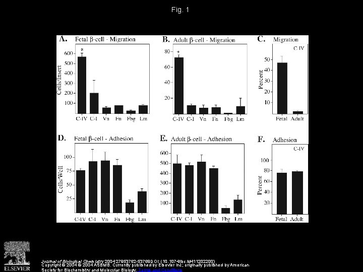 Fig. 1 Journal of Biological Chemistry 2004 27953762 -53769 DOI: (10. 1074/jbc. M 411202200)