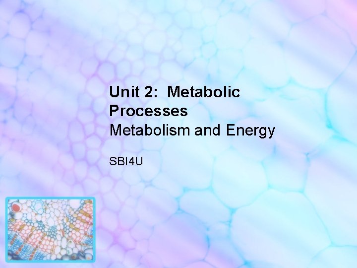 Unit 2: Metabolic Processes Metabolism and Energy SBI 4 U 