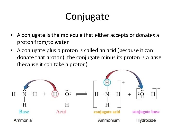 Conjugate • A conjugate is the molecule that either accepts or donates a proton