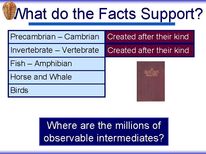 What do the Facts Support? Precambrian – Cambrian Created after their kind Invertebrate –