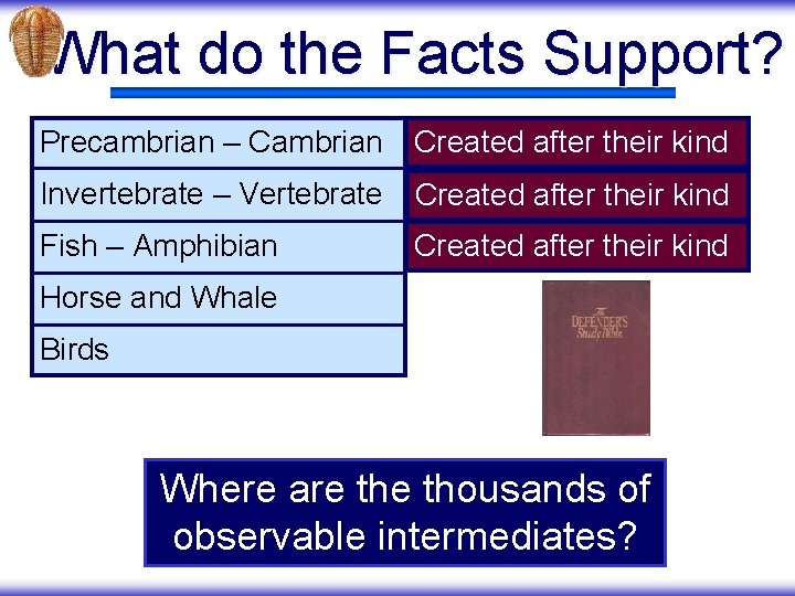 What do the Facts Support? Precambrian – Cambrian Created after their kind Invertebrate –