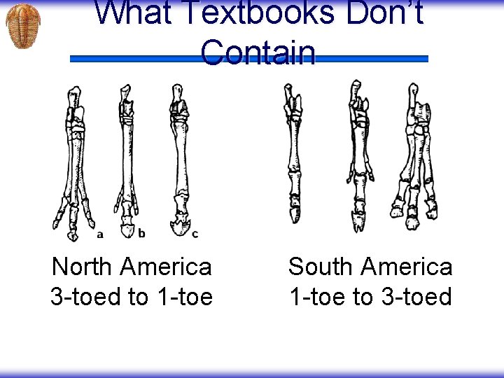 What Textbooks Don’t Contain North America 3 -toed to 1 -toe South America 1