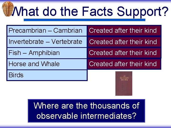 What do the Facts Support? Precambrian – Cambrian Created after their kind Invertebrate –