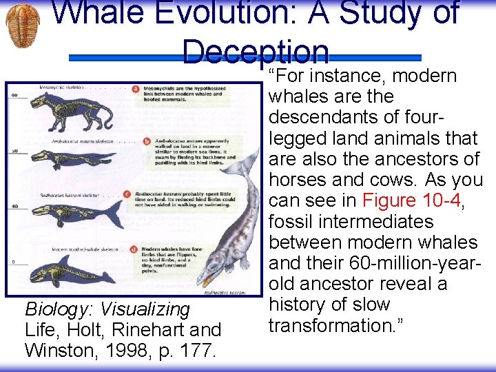 Whale Evolution: A Study of Deception Biology: Visualizing Life, Holt, Rinehart and Winston, 1998,