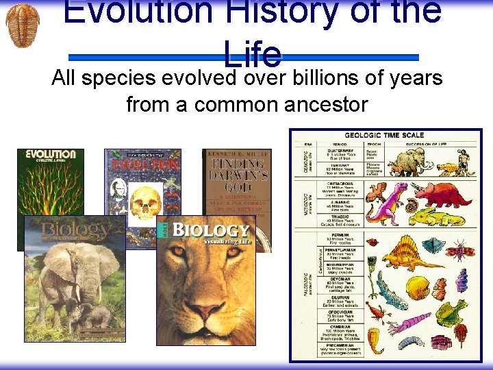 Evolution History of the Life All species evolved over billions of years from a