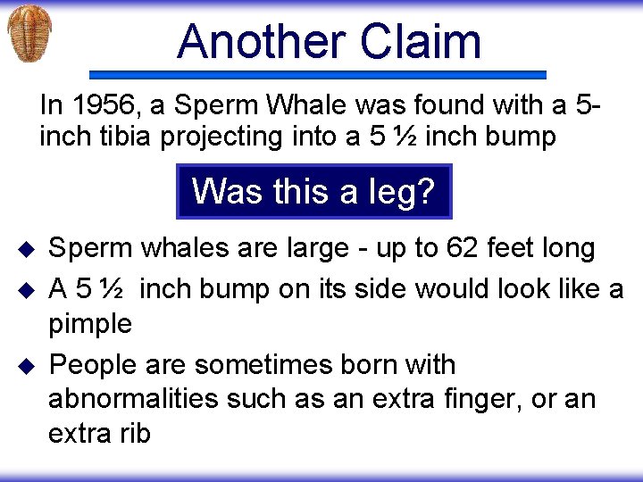 Another Claim In 1956, a Sperm Whale was found with a 5 inch tibia