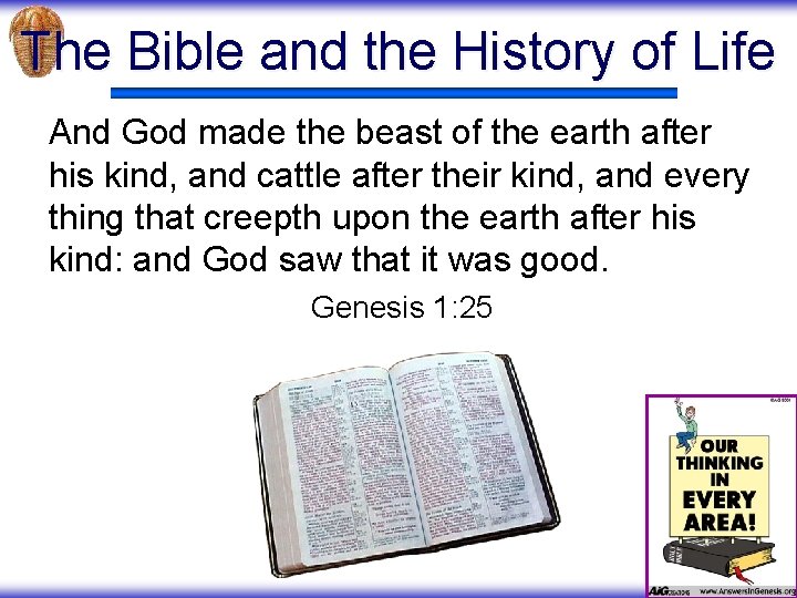 The Bible and the History of Life And God made the beast of the