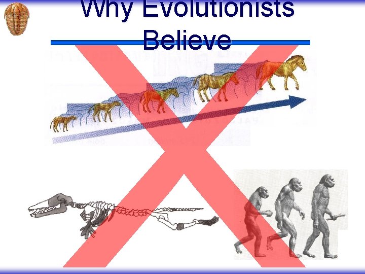 Why Evolutionists Believe 