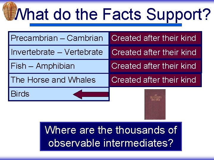 What do the Facts Support? Precambrian – Cambrian Created after their kind Invertebrate –