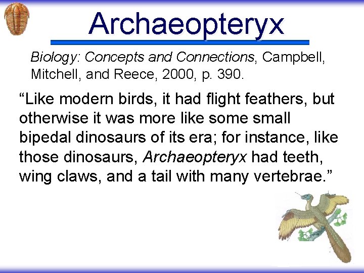 Archaeopteryx Biology: Concepts and Connections, Campbell, Mitchell, and Reece, 2000, p. 390. “Like modern