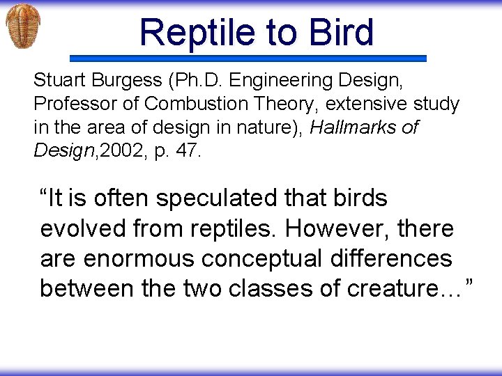 Reptile to Bird Stuart Burgess (Ph. D. Engineering Design, Professor of Combustion Theory, extensive