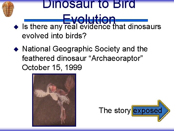 Dinosaur to Bird Evolution u Is there any real evidence that dinosaurs evolved into