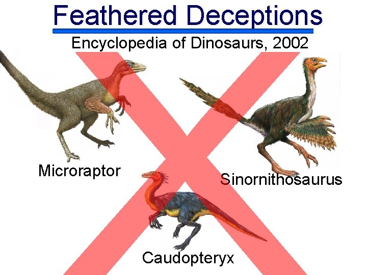 Feathered Deceptions Encyclopedia of Dinosaurs, 2002 Microraptor Sinornithosaurus Caudopteryx 