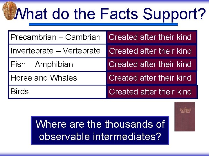 What do the Facts Support? Precambrian – Cambrian Created after their kind Invertebrate –