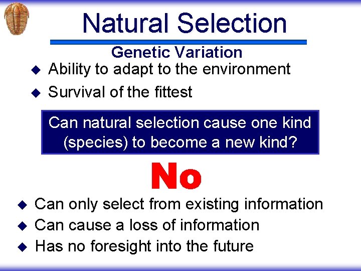 Natural Selection u u Genetic Variation Ability to adapt to the environment Survival of