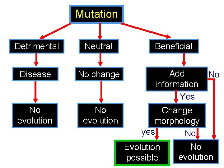 Mutation Detrimental Neutral Disease No change No evolution Beneficial Add information Yes No Change