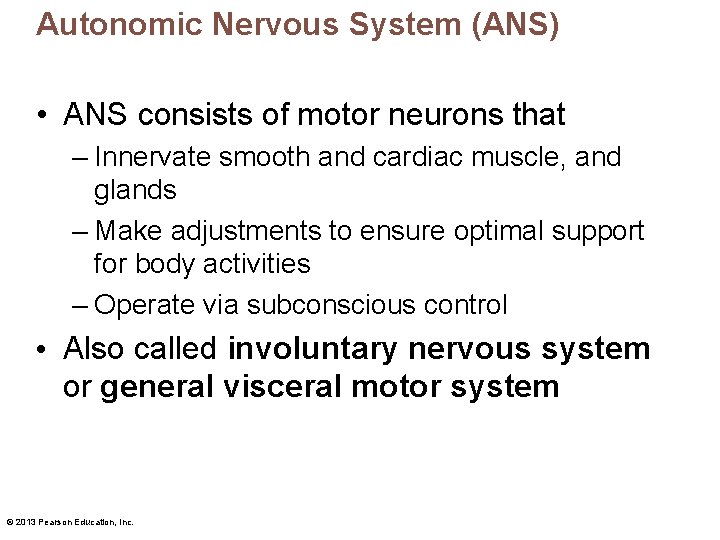 Autonomic Nervous System (ANS) • ANS consists of motor neurons that – Innervate smooth