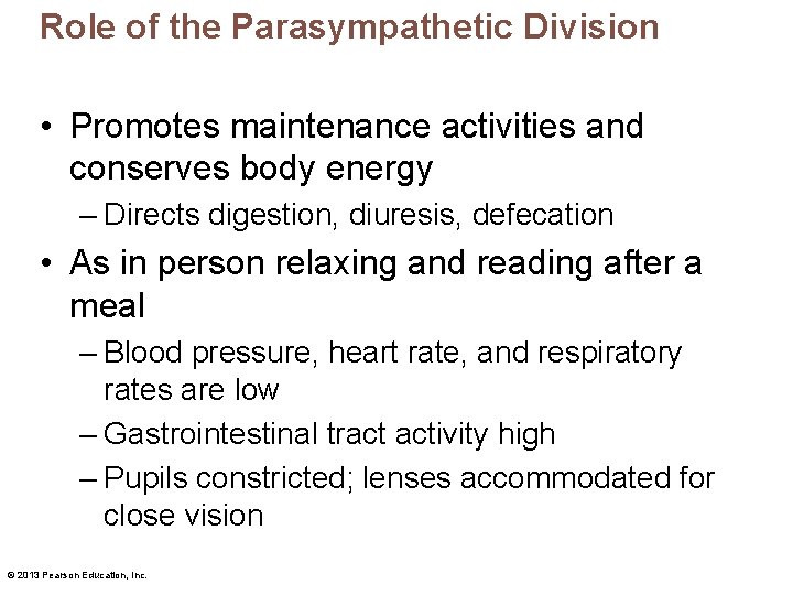 Role of the Parasympathetic Division • Promotes maintenance activities and conserves body energy –